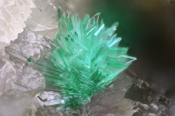 underthescopemineral:    Annabergite   Locality:Km-3