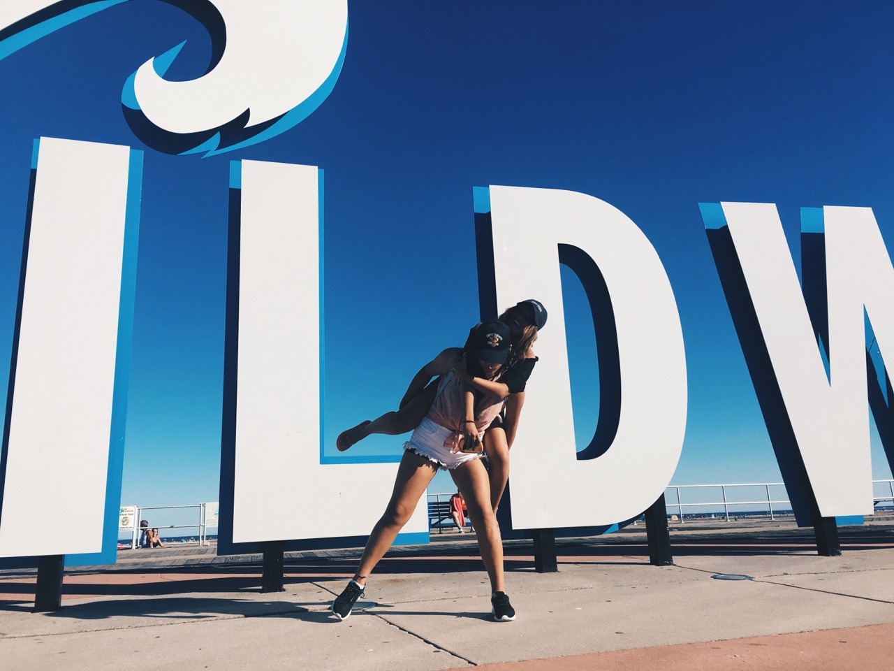 ✖️ WILDWOOD ✖️
