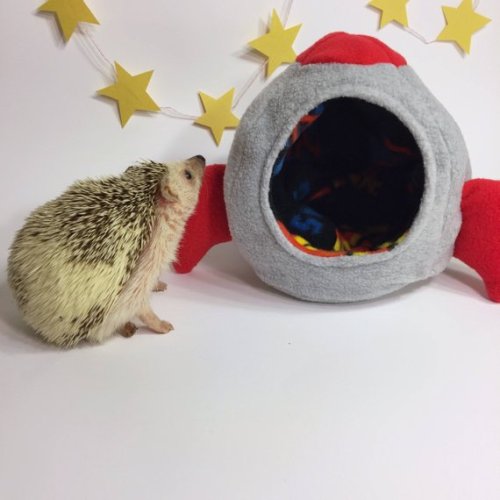 Rocket Snuggle House for Hedgehogs //emilywayneart