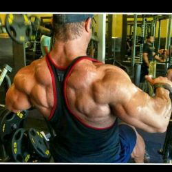 Best Bodybuilding Pics