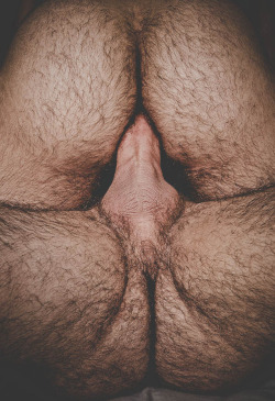 mydaddyishairy:  My Daddy is Hairy - over