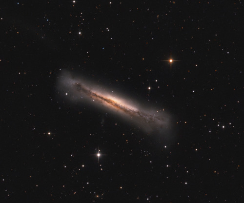  Portrait of NGC 3628 (NASA Astronomy Picture of the Day of April 29 of 2022) 
