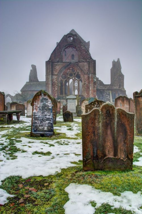 kecskekvlt: Sweetheart Abbey, founded by Lady Devorgilla in 1273, New Abbey, Dumfries and Galloway, 