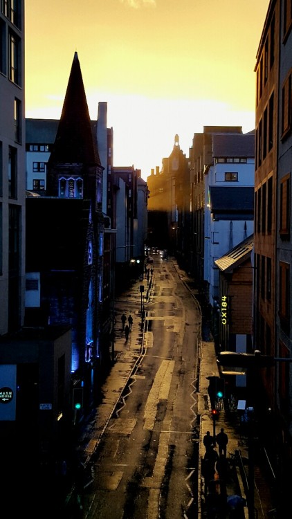 Glistening road. Edinburgh, Scotland