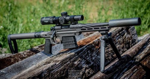 “The One” needs to make a comeback! Some seriously quiet fun can be had with a suppressed bolt actio