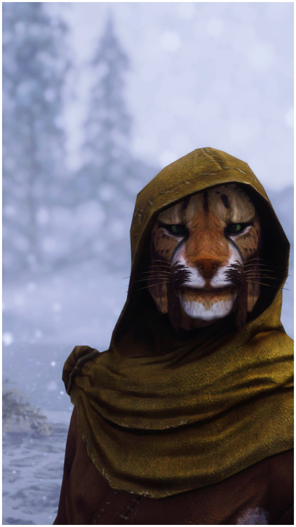 12.30.20“Much snow in Skyrim. Enough snow. M'aiq does not want any more.“ - M’aiq the Liar