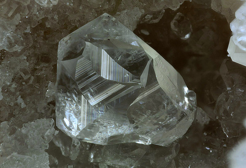 underthescopemin:  Calcite Collection & photo Matteo Chinellato