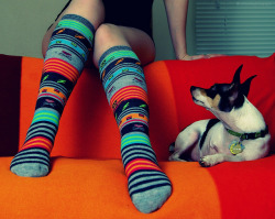 girls-snap:  late night tele socks by elle.hanley
