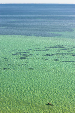 vahc:  Dugong Seascape by David Rochas 