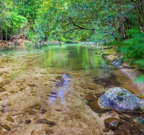 oceaniatropics: creek along Goldfield’s trail, Queensland, Australia