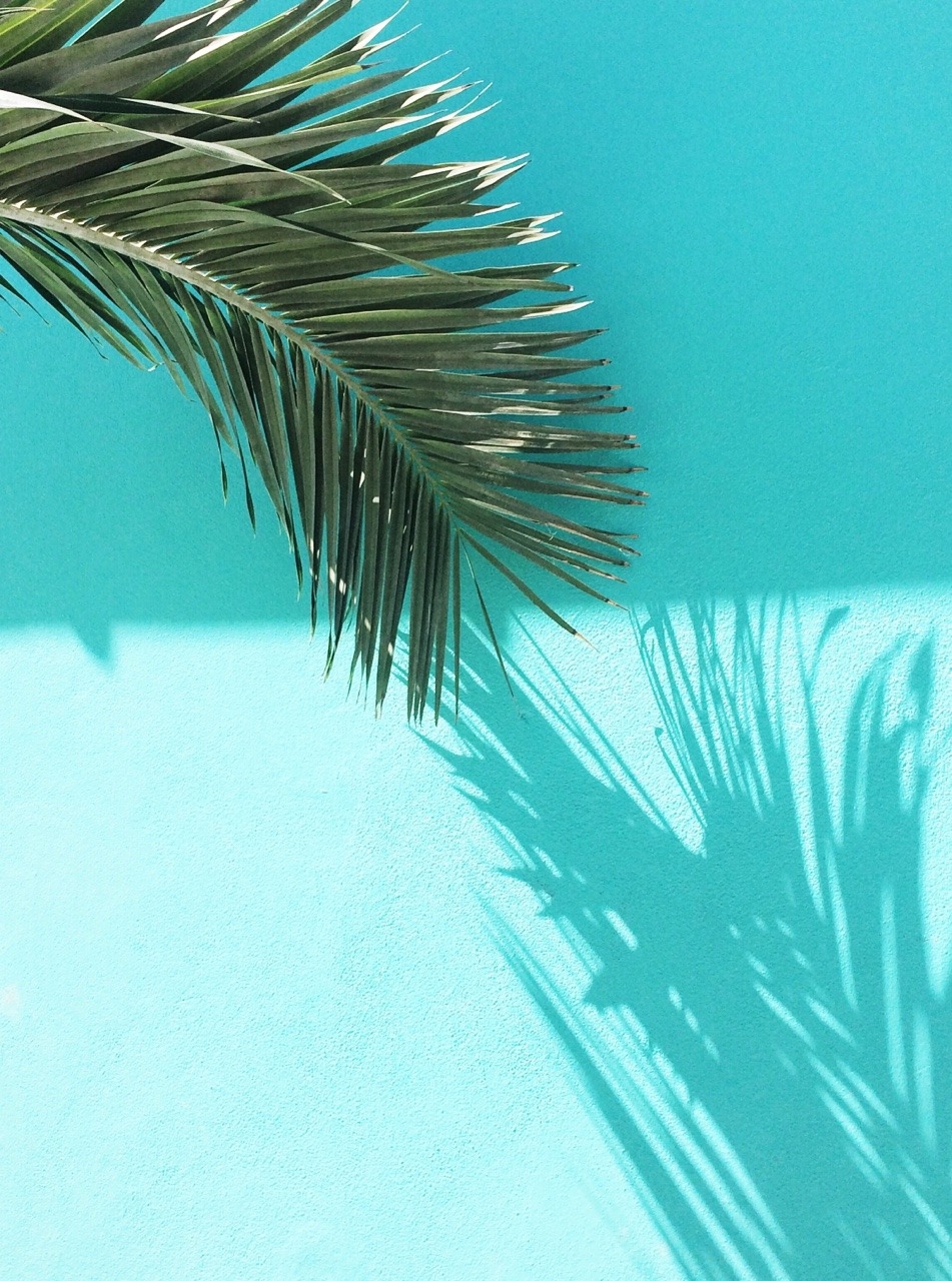 cleanandsupreme:Tumblr + Instagram