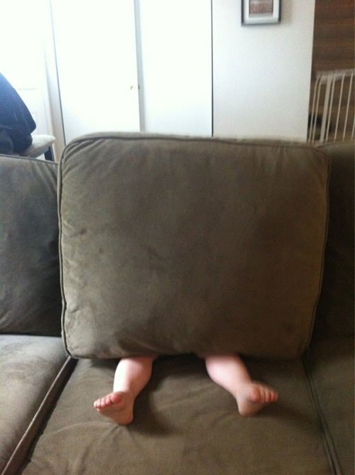 piggytailsandpacifiers:  kayla-bird:  Hide and seek.  I lost my shit at the one behind the couch pillow. 
