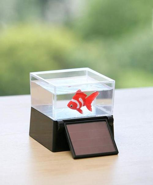 Best solar-powered toy ever! From Japanese maker Takara Tomy in collaboration with goldfish artist F