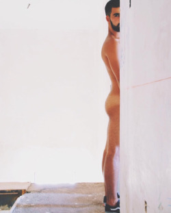 gluteus maximus