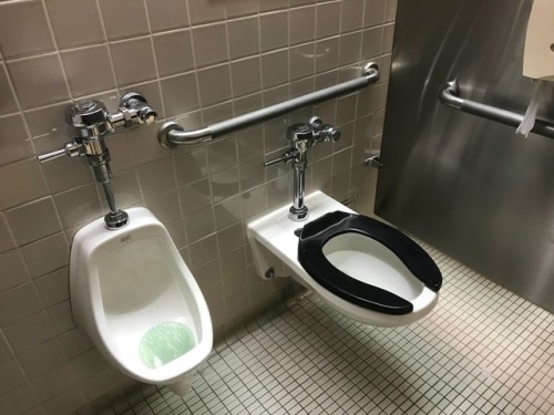 Interesting stall in New York. Dad can have his dump, while son can piss, or vice versa.