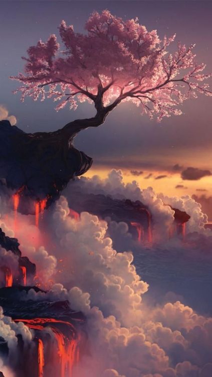 Amazing Landscapes