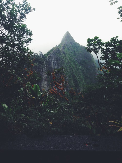 honozuluhawaii:  I spy my school