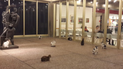 actualdoge:  fairymascot:  the other day i went with a friend to the museum, and outside its entrance, was greeted with this: eight cats. sitting there. perfectly still. everyone around them was cooing and taking pictures but those cats did not budge.