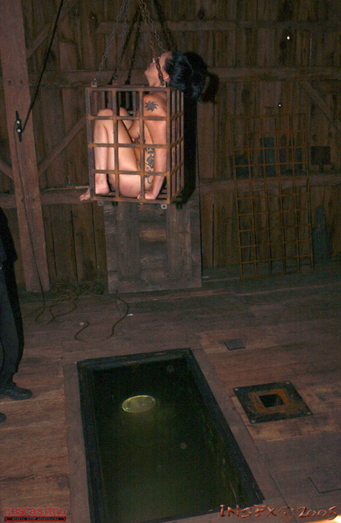 https://the-dark-basement.tumblr.com/post/169336999751