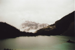 brutalgeneration:  (by Robin Mellway) 