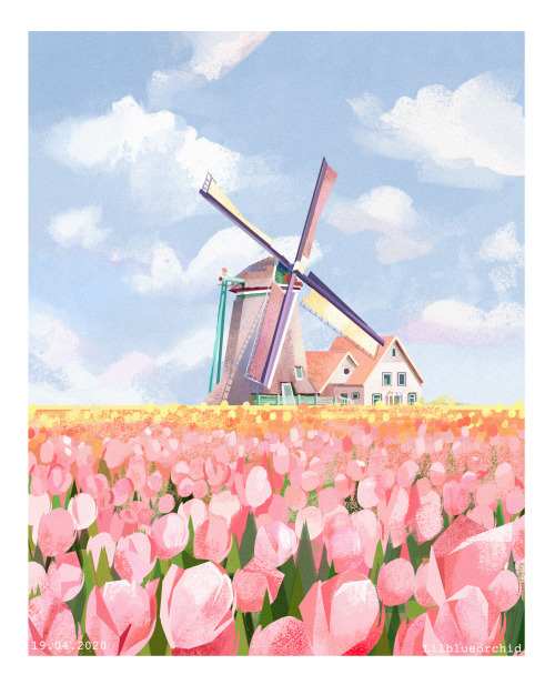 lilblueorchid: Pleinairpri day 16 to 20! Had a lot of fun painting tulip fields. I’d love to v