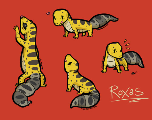 holloweentwinkie: My bf wanted me to make stickers of our leopard gecko, Roxas, so i thought i&rsquo