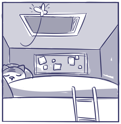 cluckycharmer: letting the moth loose in her bedroom was a mistake