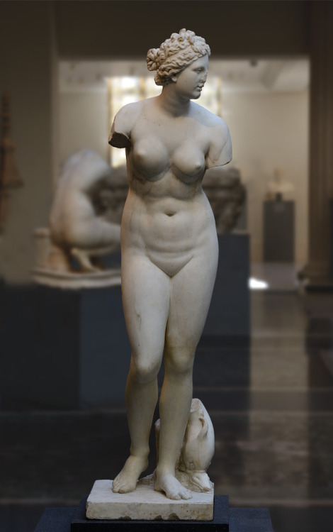 theancientwayoflife:~ Aphrodite (the Aphrodite of Cnidos type).Date: Roman copy of the A.D. 1st—2nd 