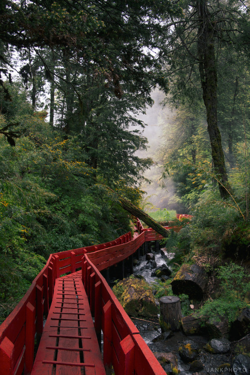 laestrellasolitaria:  Beautiful shot of the path to the Termas Geometricas (hot springs) in Chile’s lake district. Photo by David Jank