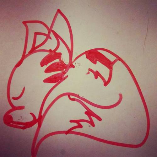 Drawing of a sleeping fox, by Sweet Dee age 7. I can’t wait to see her art evolve. PS she did 