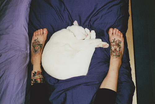 ☽☆☾