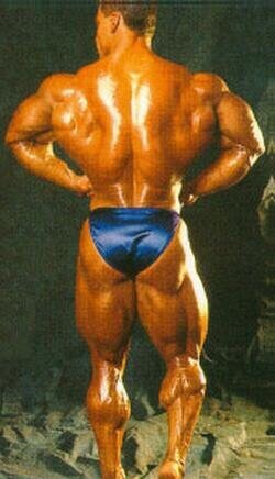 Paul Demayo