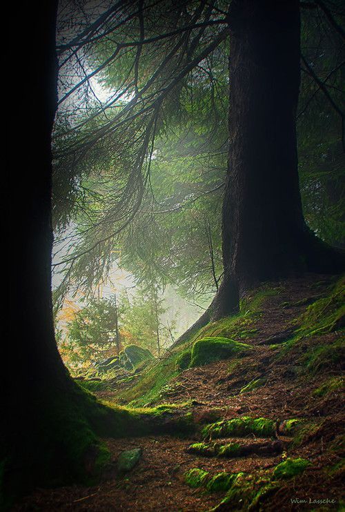 letsgoforahike:  Let’s Go For A Hike 