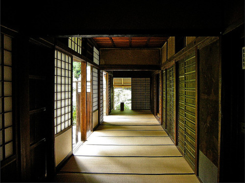 Japanese traditional houses 