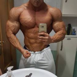 muscleryb:  Pablo Llopis  23y.o   