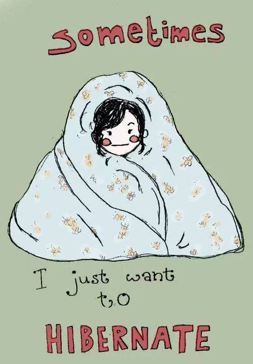 Sometimes I just want to HIBERNATE