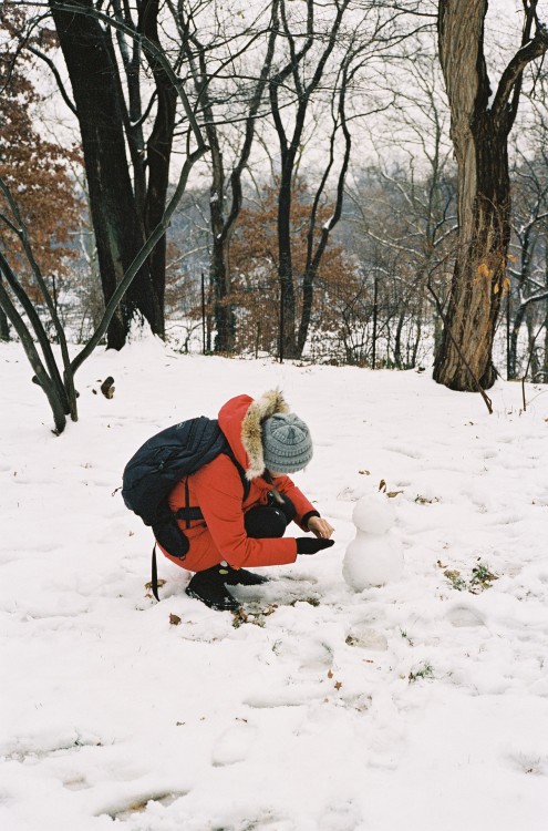 A snowy walk in Central Park with this goose.