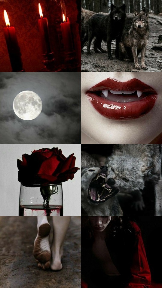 Aesthetic Lock Screen Vampire Diaries  Novocomtop HD phone wallpaper   Pxfuel