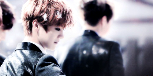 EXO Headers