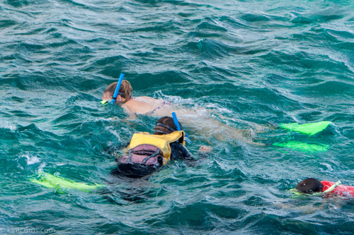 Some final snorkelling pictures before I came out of the water.
