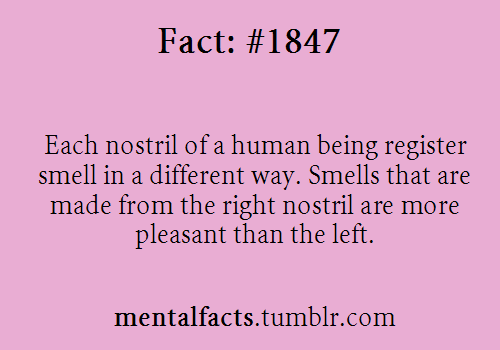 Fact 1847: Each nostril of a human being register smell in a different way. Smells that are made fro