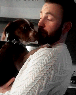 Buzzfeed Puppy