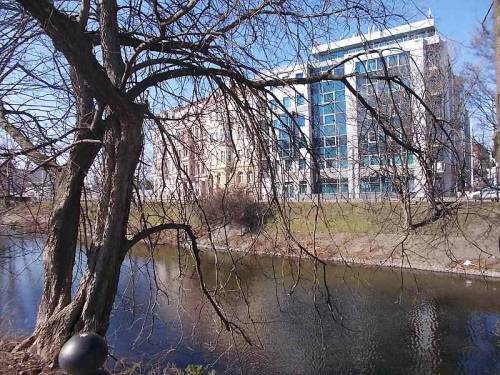 Trees and pond in Wroclaw, Poland (along Podwale St.).