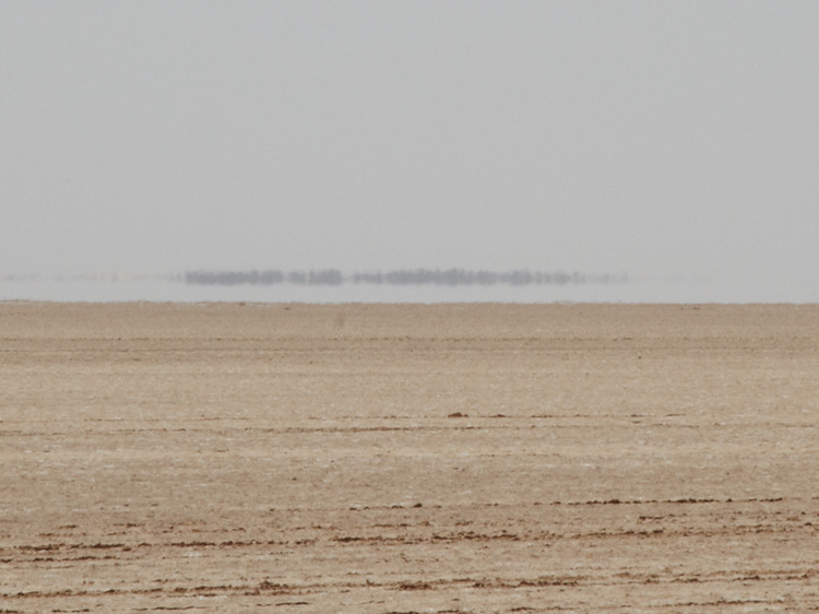 likeafieldmouse:  Brendan Austin - Mirage (2012)