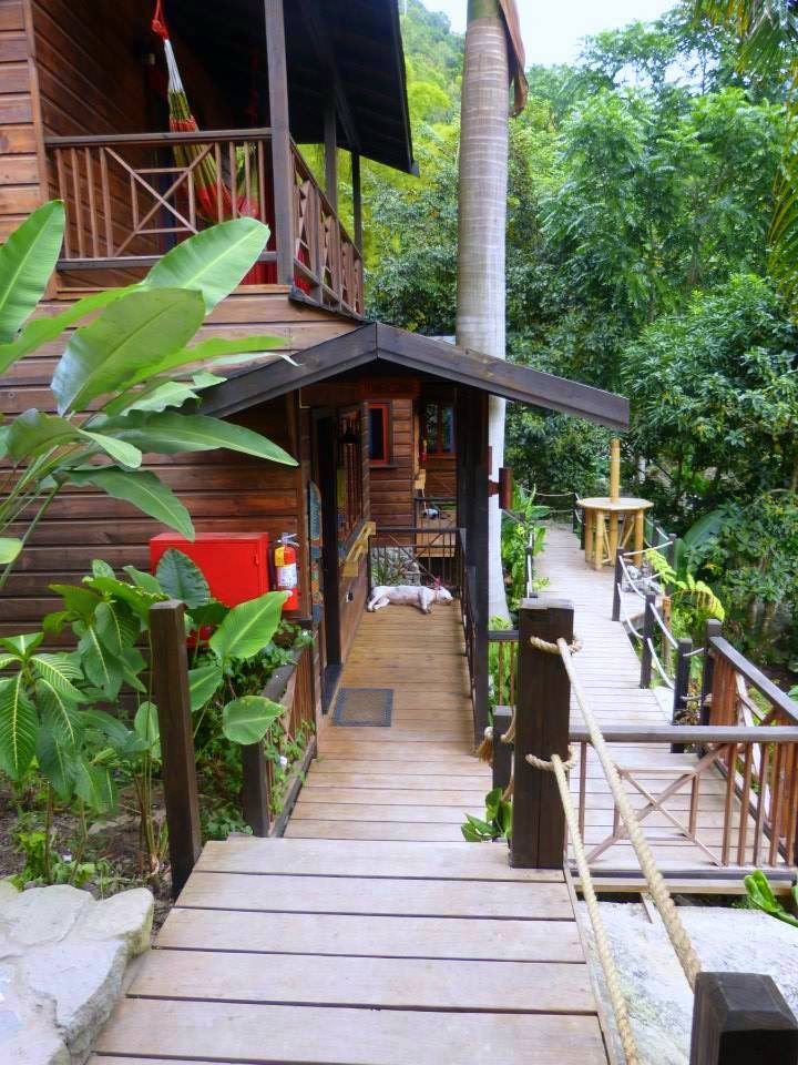 the-sweet-life-ja:  Serendipity Holistic Resort (Irish Town, Kingston, Jamaica) ::