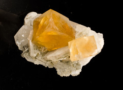 ifuckingloveminerals:  Calcite, Apophyllite  Faquier Co., Virginia