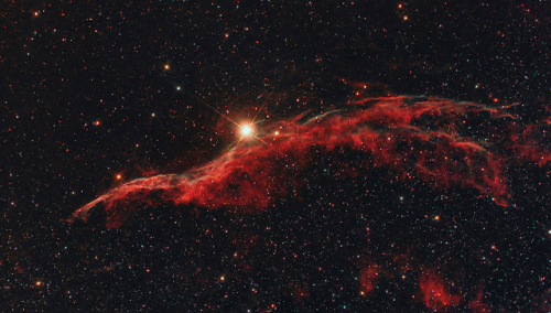 astronomyblog:NGC 6960 (Western Veil nebula) &Horsehead Nebula and the Flame NebulabyDavid Wills