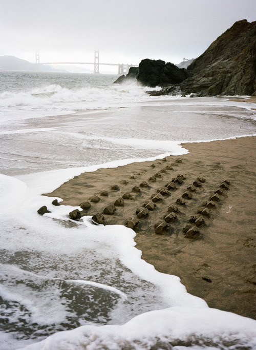 devidsketchbook:A SAND CASTLE SUBURB CONSUMED BY THE OCEAN | Chad WrightMasterplan is a install
