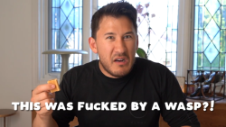 lady-raziel:  markiplier in three images