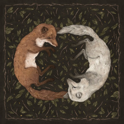 1000drawings:  Foxes 		by Jessica Roux  